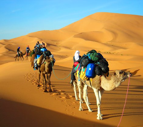 4 days tour from fes to Marrakech through Merzouga desert camel  trek