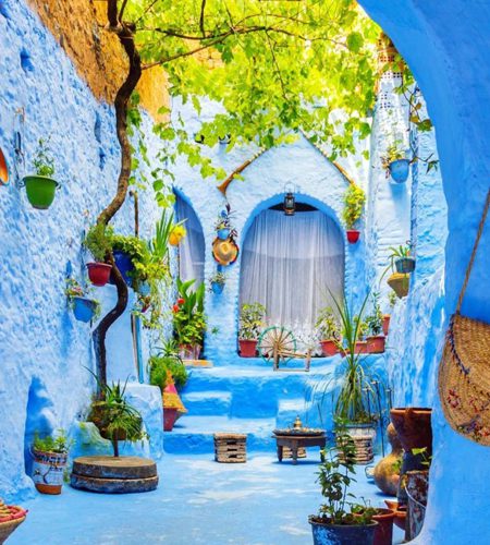 8 Days Tour From Marrakech To Fes And Chefchaouen